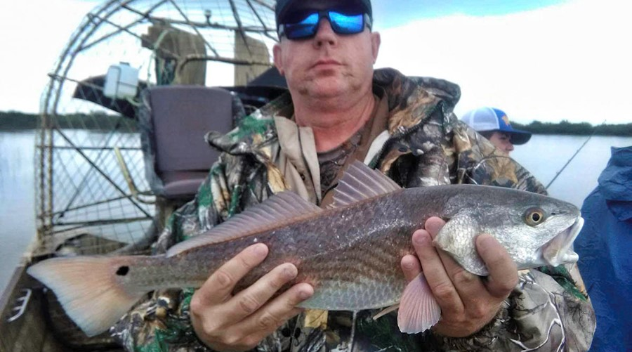 Airboat Redfishing is in prime time.