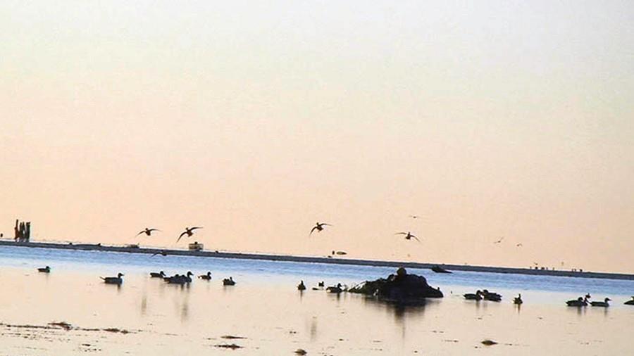 layout duck boat hunting