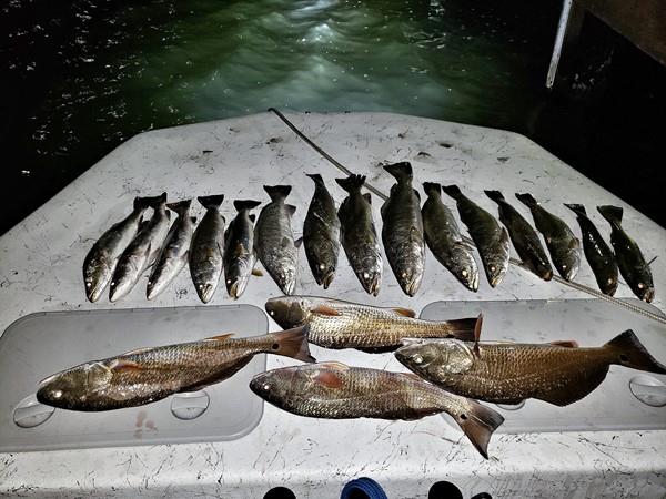 Night Fishing Adventures