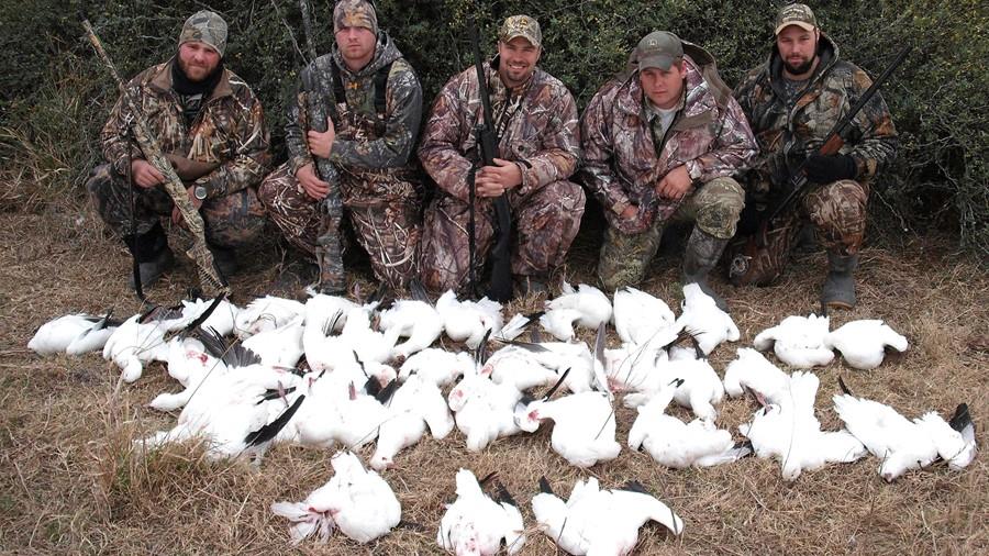 Texas Goose Hunting