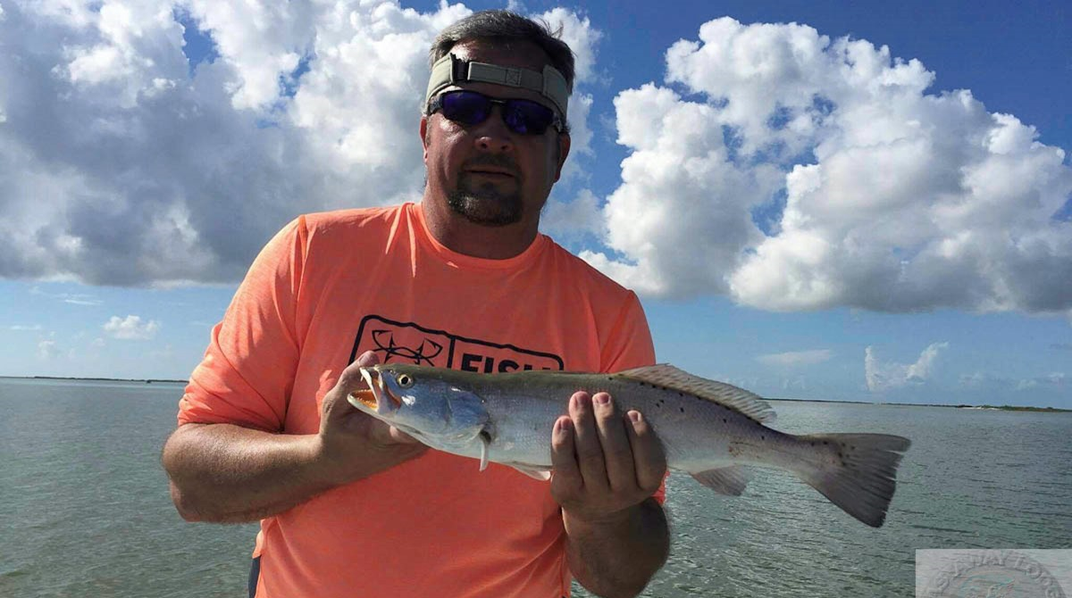 Trout fishing action