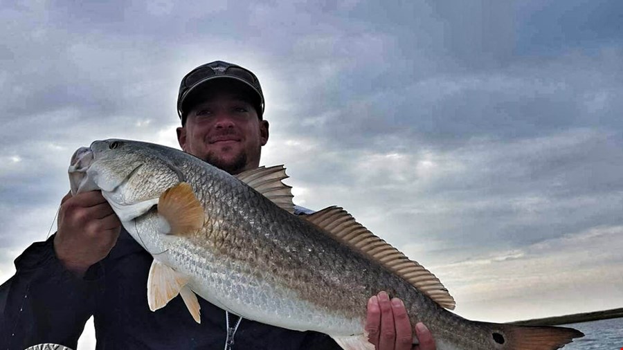 Brandon Loy, UT Baseball Coach told me about this big boy!