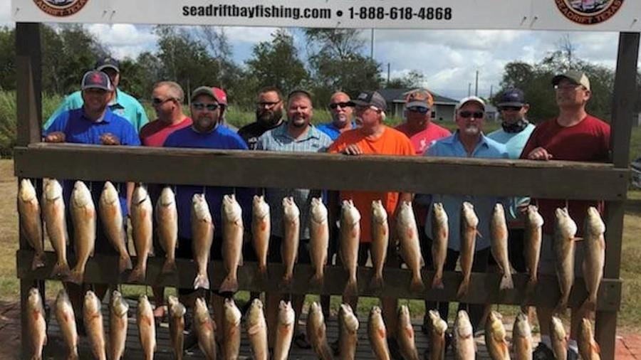 Solid Redfish Action