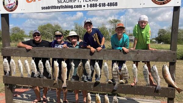 Rattlesnake Invasion / Big Mixed Fish Boxes