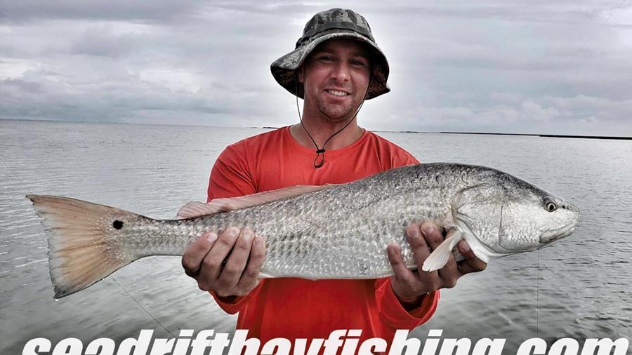 Focusing on Redfish