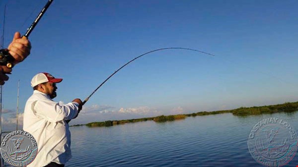 Trout to 26", Redfish Off the Scale!