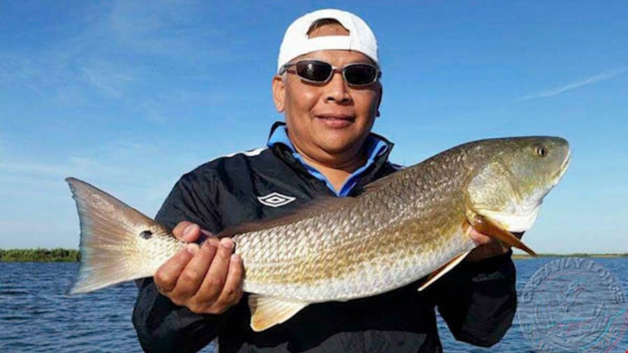 Solid Redfish action continues with full limits coming in