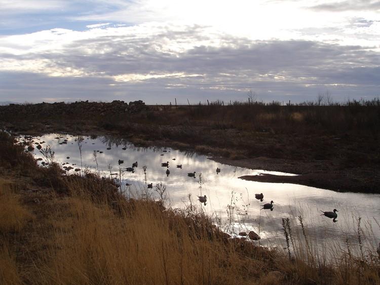 Mexico Duck Hunting