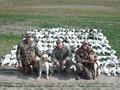 Texas Goose Hunting