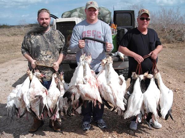 Texas Goose Hunting