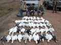 Texas Goose Hunting