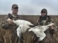 Texas Goose Hunting